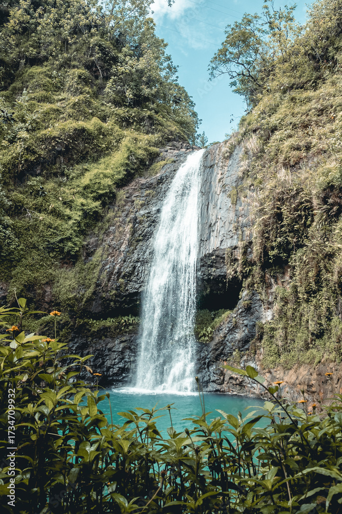 Fototapeta premium waterfall in the mountains of Tahiti 