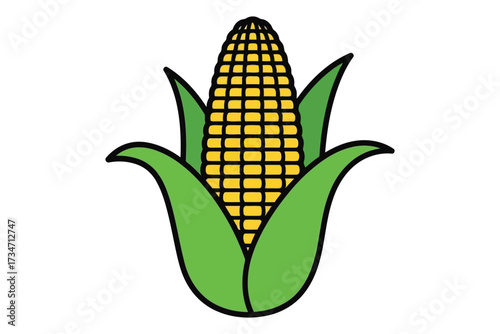 Illustration of a corn cob, showcasing its kernels, husk, and vibrant colors, ideal for agricultural, food, or educational themed projects