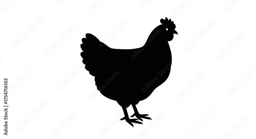 Fototapeta premium Black silhouette of a standing chicken with detailed feathers and legs Flat design vector illustration white background.