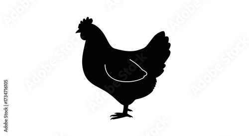 Silhouette of a black hen chicken standing profile isolated on for farm and poultry graphics Flat design vector illustration white background.