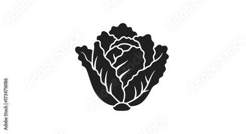 Stylized silhouette of a cabbage head with detailed leaves isolated on white Flat design vector illustration white background.