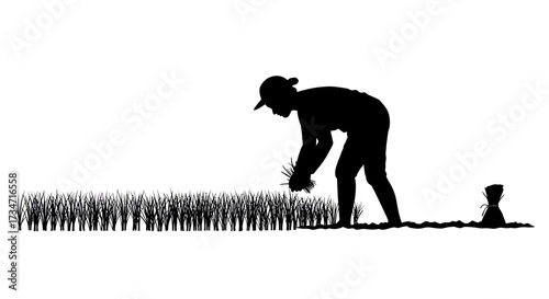 Silhouette of farmer tending crops in a field at sunrise or sunset light detail Flat design vector illustration white background.