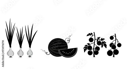 Fresh garden produce onions watermelon tomato plants silhouette iconography healthy food farming vegetables Flat design vector illustration white background.