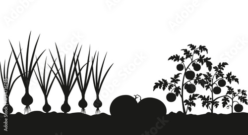 Silhouette of a garden with onions tomatoes and pumpkins ready for harvest Flat design vector illustration white background.