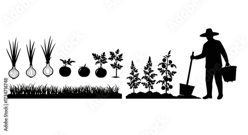Gardening silhouette scene with farmer and fresh produce growing in rows Flat design vector illustration white background.