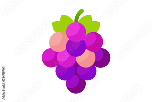  a close up shot showcases a plump cluster of grap