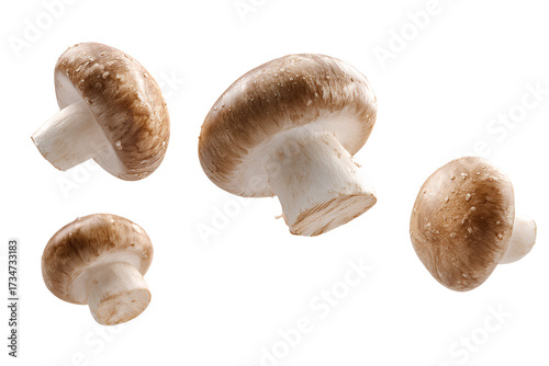 Flying champignon mushrooms in mid-air, isolated on transparent background.