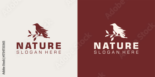 Classic Silhouette of Pigeon Dove Bird on Tree Branch for Nature 