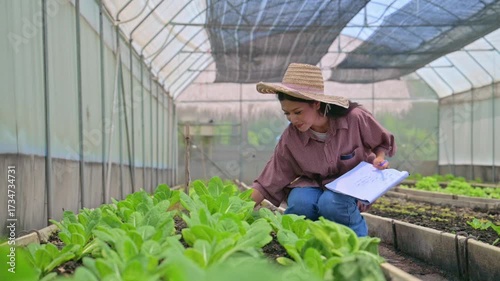 Agricultural woman holding fresh lettuce with root in organic greenhouse farm inspecting lettuce roots in indoor garden, Sustainable vegetable farming by agricultural students in greenhouse.