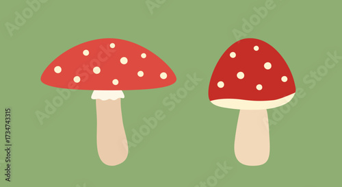 Set of  autumn mushroom vector.
fall Mushrooms image.
Mushrooms in cartoon style.  
For harvest festival, Thanksgiving. 
