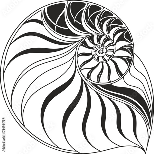 Black and White Nautilus Shell Vector Illustration Logarithmic Spiral and Fibonacci Sequence Art Chambered Nautilus Shell Design Intricate Monochromatic Geometric and Organic Pattern