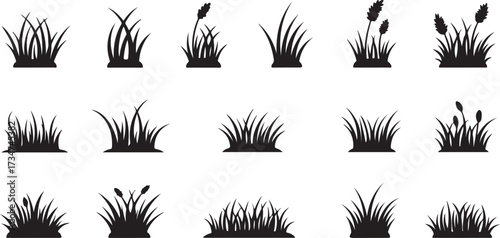 Collection of 15 black silhouette icons of grass and reeds on white Keywords: grass, reeds, plant