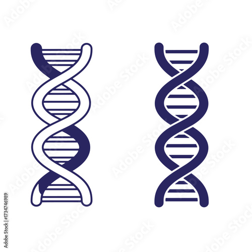 Two simplified blue and white dna double helix structure diagrams on white background