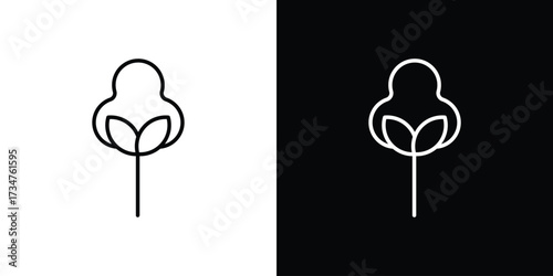 Cotton icon in black and white linear versions