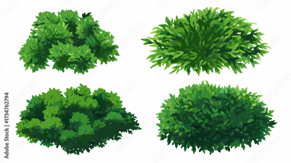 Fototapeta premium Cartoon shrub bush set. Garden green decoration bushes, illustrated hedge shrubs plants isolated on white background