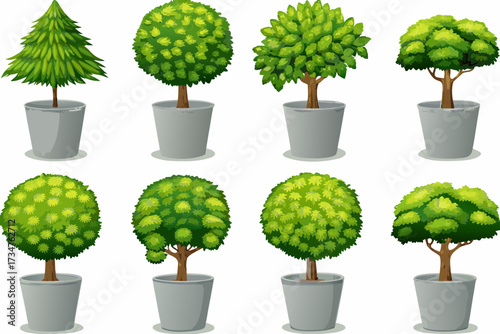 Cartoon shrub bush set. Garden green decoration bushes, illustrated hedge shrubs plants isolated on white background