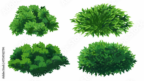 Cartoon shrub bush set. Garden green decoration bushes, illustrated hedge shrubs plants isolated on white background