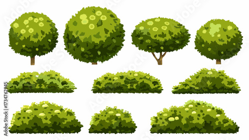 Cartoon shrub bush set. Garden green decoration bushes, illustrated hedge shrubs plants isolated on white background