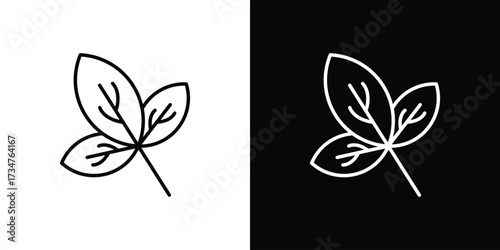 Basil icon in black and white linear versions
