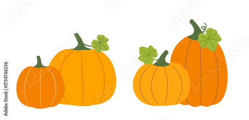 Set of autumn season farm pumpkins with leaves. 
Flat stock vector illustration.
Design for harvest festival, Thanksgiving. 
White background.