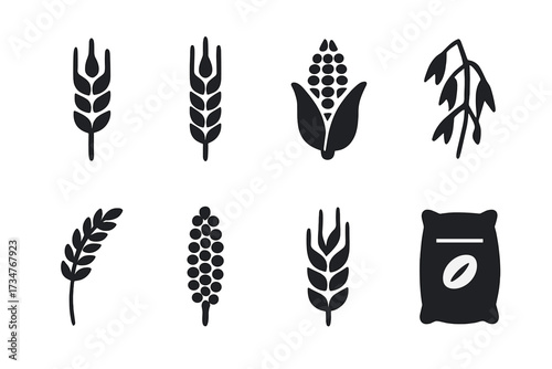 Grain Icons Set. Grains. Filled icon set of Grains: wheat stalk, barley stalk, corn cob, oats, rice stalk,