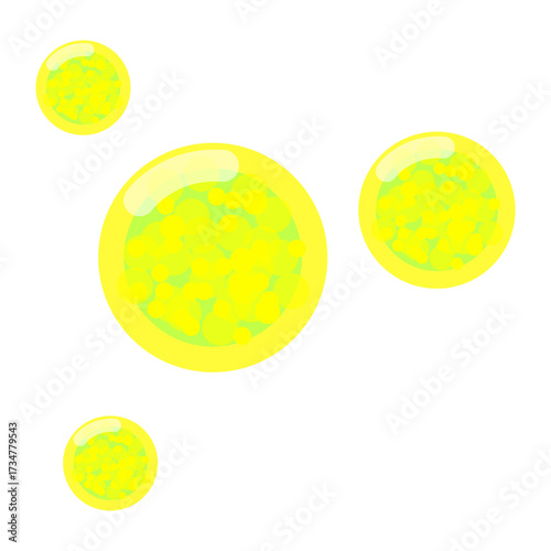 Illustration of Thalassiosira