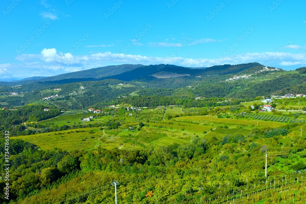 Fototapeta premium Rural landscape bellow forest covered hill at Goriška Brda in Primorska, Slovenia