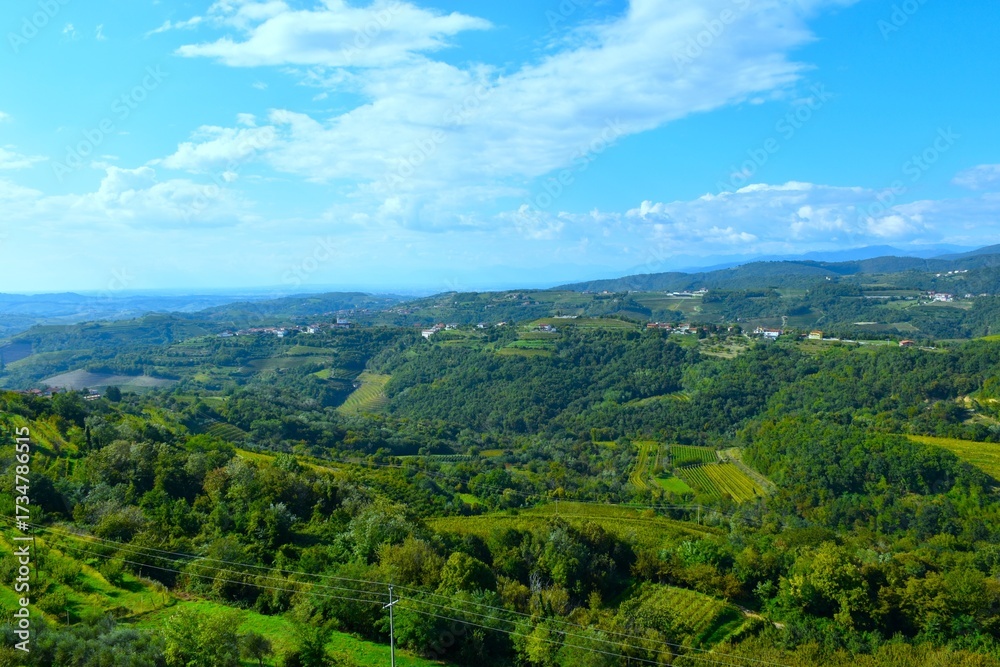 Naklejka premium View of rural landscape and a forest covered valley in Goriška Brda, Primorska, Slovenia