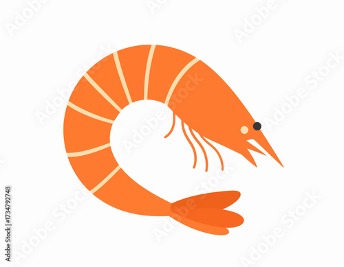 Cartoon illustration of a cooked shrimp isolated on a white background, ready to eat