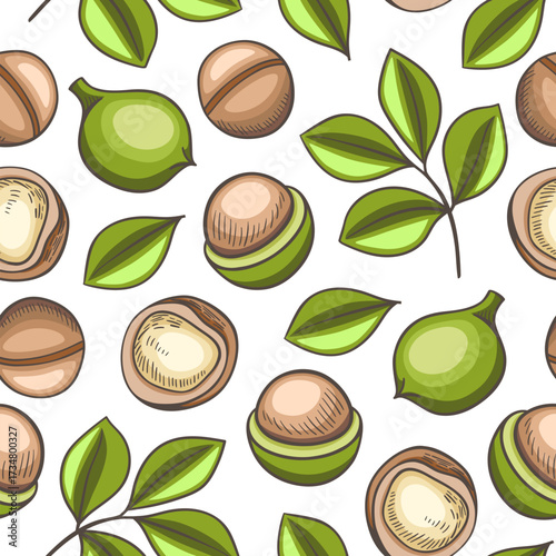 Pattern of macadamia nuts and leaves