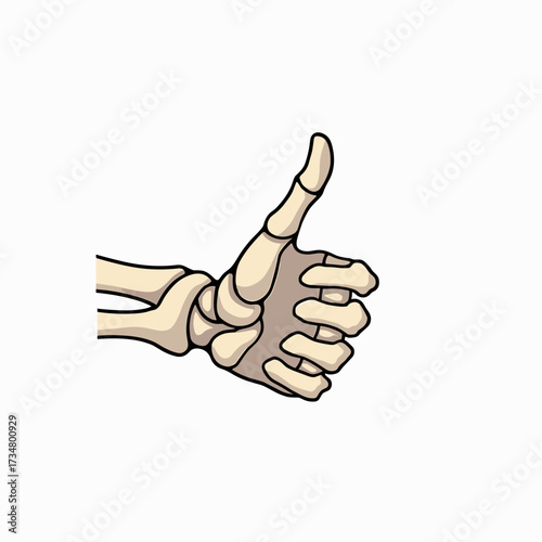 Skeleton hand giving a thumbs-up gesture on white background Concept of Halloween  