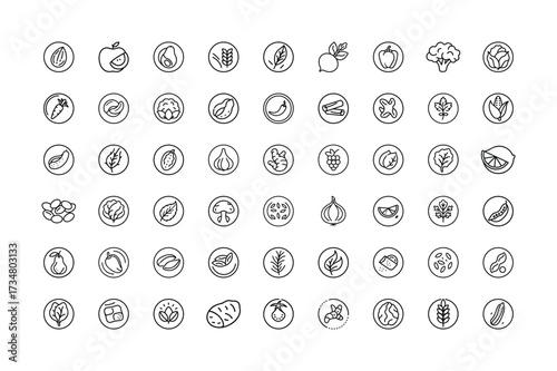 Vector art of collection of handdrawn icons representing various fruits, vegetables, and healthy food items