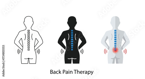 Human Spine Pain and Therapy Icons back pain human anatomy