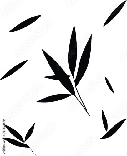 Abstract black bamboo leaves on white background vector