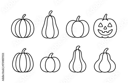 Line art collection of pumpkins and gourds for halloween and autumn decor