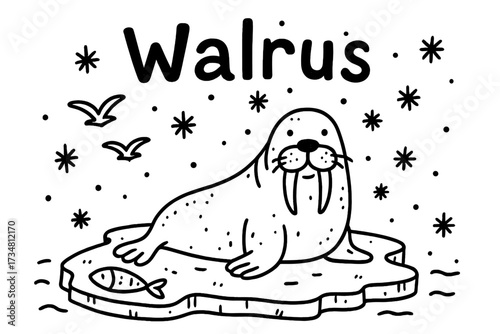 Walrus Doodle Scene. Doodle walrus on ice with fish, seagulls, and snowflakes, center word “Walrus” in black and white isolated