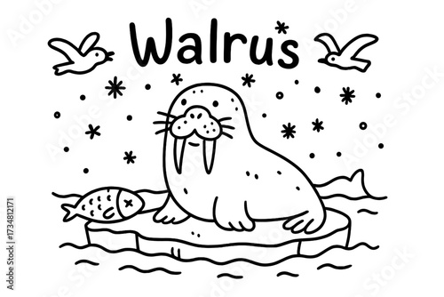 Walrus Doodle Scene. Doodle walrus on ice with fish, seagulls, and snowflakes, center word “Walrus” in black and white isolated