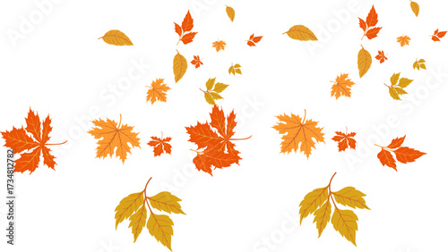 Autumn foliage vector illustration with falling leaves for seasonal designs and creative projects usage exactly