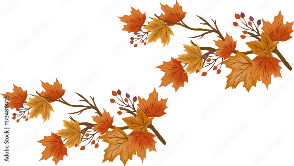 Fototapeta premium Autumn foliage vector art with maple leaves and berries for thanksgiving season graphic design elements