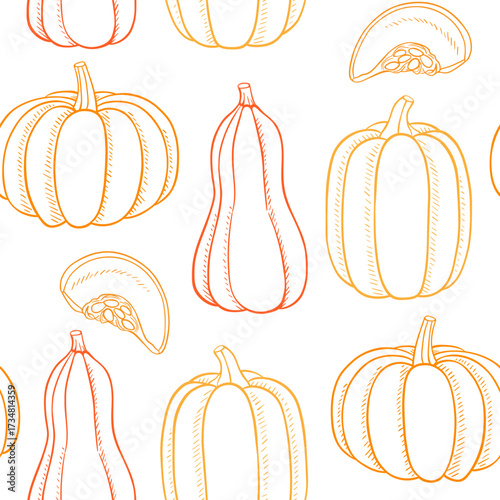 Seamless pattern of handdrawn pumpkins and gourds