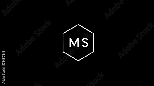 Abstract modern design with white 'MS' initials inside a clean hexagon shape on a sleek black background, minimal graphic element
