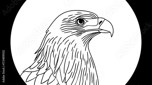 Majestic Eagle Head Line Art Illustration in Profile, Black and White Drawing of a Bird of Prey for Nature and Wildlife Designs