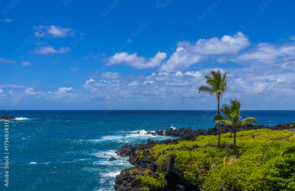 Fototapeta premium Picture Perfect - Waianapanapa State Park, Maui