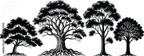 "Set of stylized tree silhouettes showcasing diverse shapes, sizes, and canopy structures for nature, ecology, education, and design themes"Set of stylized tree silhouettes showcasing diverse shapes,