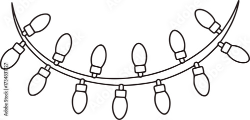 Festive string lights with oval bulbs illumination decoration