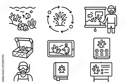 Coral Reef Education Icons. Line style icons of coral reef education: reef anatomy diagram, coral life cycle chart, underwater