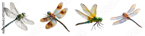 Vibrant collection of graceful dragonflies in flight, a symbol of transformation and delicate beauty, perfect for nature-inspired designs and artistic projects