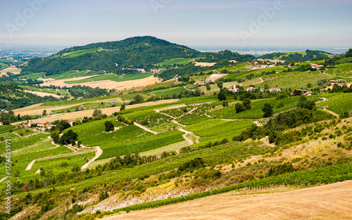 Cultivated hills in Oltrepo' Pavese near Pavia, Lombardy region, northern Italy
