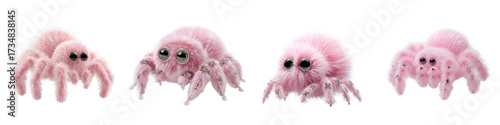 Adorable Pink Jumping Spiders, Cute and Fluffy Arachnids for Children's Content, Playful and Whimsical Pink Spider Collection, Ideal for Educational Resources