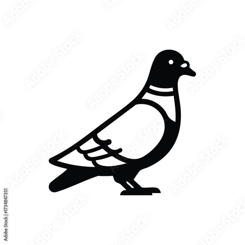 Stylized pigeon with clean lines and simple design, suitable for logos, apps, or projects emphasizing urban wildlife